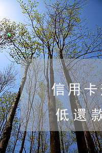 信用卡逾期之后還最低還會影響嗎-逾期最低還款后也無法使用嗎