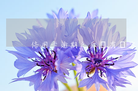 信用卡逾期之后還有寬容期么(信用卡逾期)