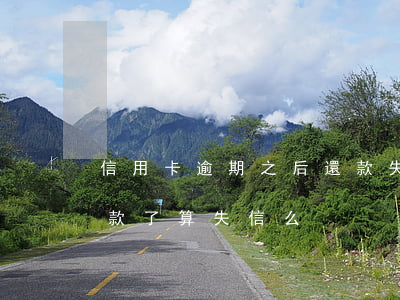 信用卡逾期之后還款失敗(信用卡逾期之后還款了算失信么)