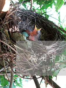 信用卡逾期之后還能