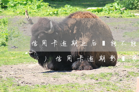 信用卡逾期之后還能不能提額-有一個(gè)信用卡逾期,影響另一個(gè)信用卡提額度