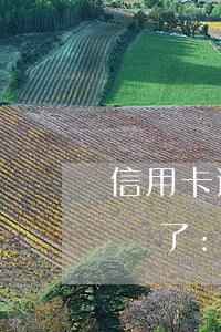 信用卡逾期之后還能用不(信用卡逾期了,后來還了:,信用卡還能用嗎)