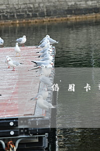 信用卡逾期之后還進(jìn)去還能在用嗎