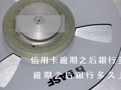 信用卡逾期之后銀行多久上報征信-信用卡逾期之后銀行多久上報征信報告