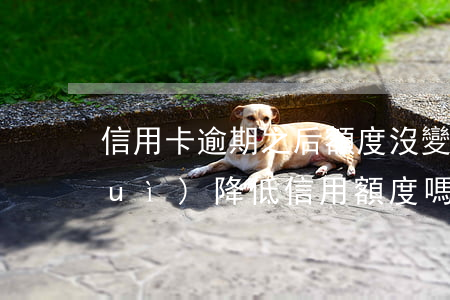 信用卡逾期之后額度沒變(信用卡逾期會(huì)降低信用額度嗎)