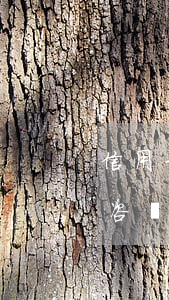 信用卡逾期之律師直播 律師事務(wù)所咨詢免費(fèi)信用卡逾期