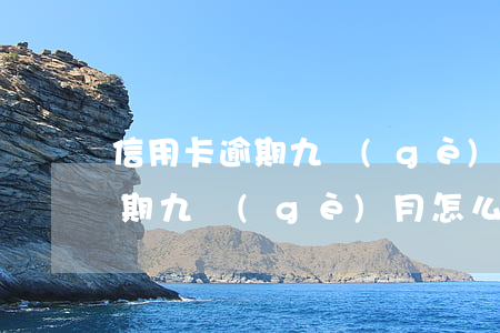 信用卡逾期九個(gè)月怎么辦(信用卡逾期九個(gè)月怎么辦最快)