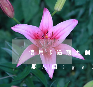 信用卡逾期九個(gè)月怎么還(信用卡逾期八個(gè)月怎么辦)