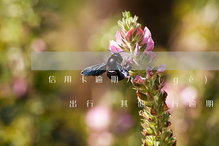 信用卡逾期九個(gè)月會(huì)影響出行嗎(其他銀行逾期會(huì)影響沒(méi)逾期的信用卡么)
