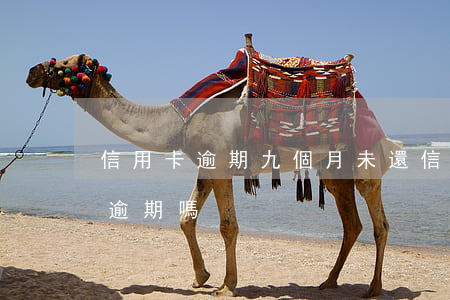 信用卡逾期九個月未還 信用卡10天沒還算逾期嗎