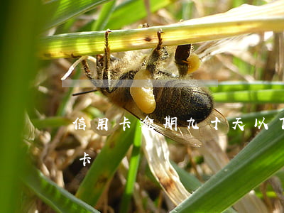 信用卡逾期九十天以下(逾期90天以上信用卡)