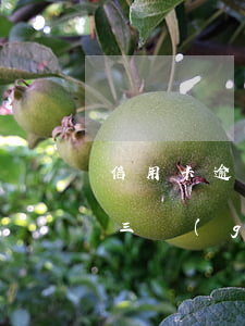 信用卡逾期九十天還上(欠信用卡九千元逾期三個(gè)月后果會(huì)怎么樣)