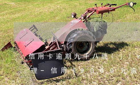 信用卡逾期九千八經(jīng)偵怎么處理-信用卡9000元逾期多久會(huì)被起訴