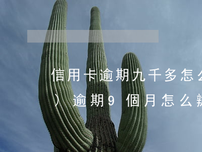 信用卡逾期九千多怎么辦(信用卡連續(xù)逾期9個月怎么辦)