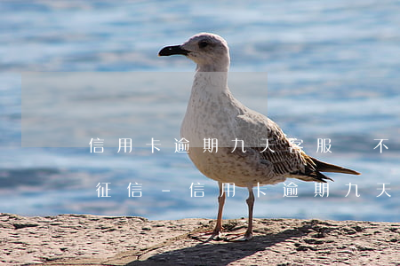 信用卡逾期九天客服說不會(huì)影響征信-信用卡逾期九天客服說不會(huì)影響征信吧