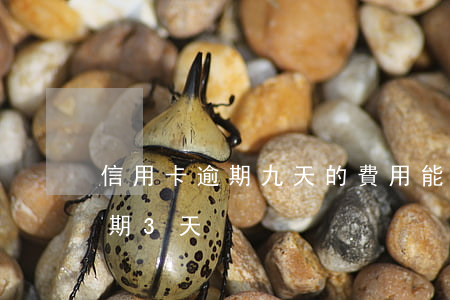 信用卡逾期九天的費用能退回來嗎(信用卡逾期3天)