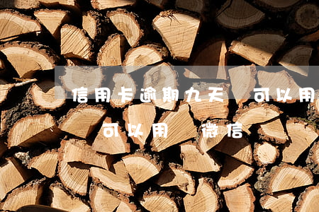 信用卡逾期九天還可以用嗎(信用卡逾期九天還可以用嗎微信)