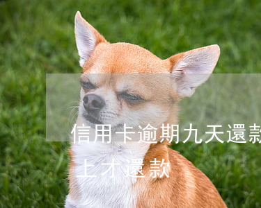 信用卡逾期九天還款嗎(信用卡逾期90天以上才還款)
