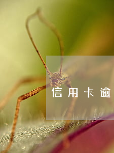信用卡逾期九年成呆賬(信用卡逾期成為呆賬)