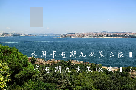 信用卡逾期九次怎么恢復(fù)征信 信用卡逾期九次怎么恢復(fù)征信