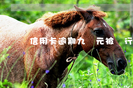 信用卡逾期九萬元被銀行起訴