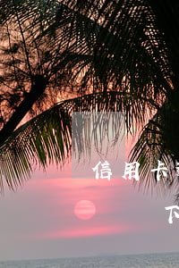 信用卡逾期九萬多 信用卡逾期九萬多法院判決書下來了還能挽救嗎