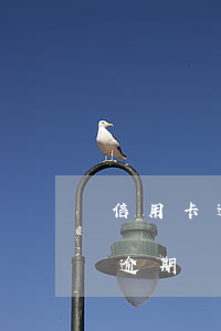 信用卡逾期也沒有通知(沒辦過信用卡被告知逾期)