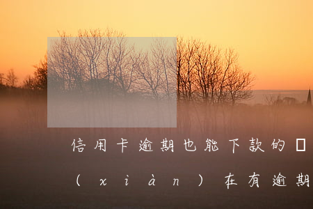 信用卡逾期也能下款的網(wǎng)貸(現(xiàn)在有逾期也能下款的網(wǎng)貸)