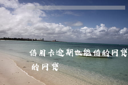 信用卡逾期也能借的网贷(信用卡有逾期可以的网贷)