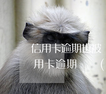 信用卡逾期也被凍結(jié)該怎么辦(信用卡 逾期 凍結(jié))