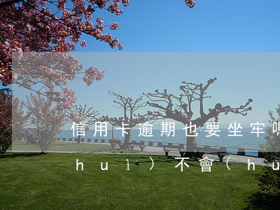 信用卡逾期也要坐牢嗎(信用卡逾期到底會(huì)不會(huì)坐牢)