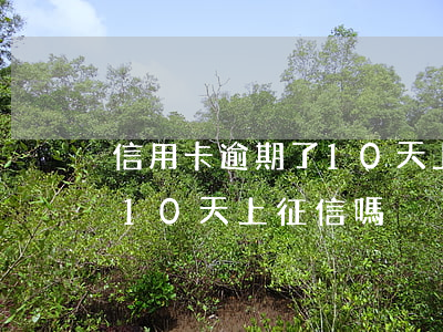 信用卡逾期了10天上征信嗎(信用卡逾期了10天上征信嗎)