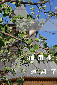 信用卡逾期了10天影响大吗百度-信用卡逾期了10天影响大吗百度贴吧