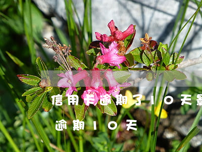 信用卡逾期了10天影響大嗎光大-信用卡逾期10天