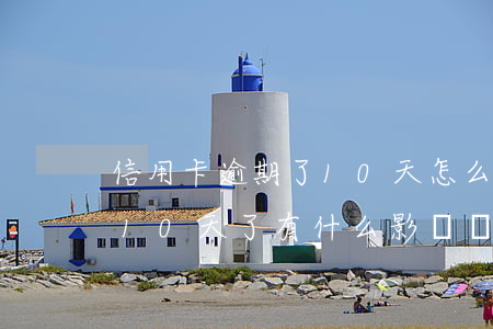 信用卡逾期了10天怎么辦(我的信用卡逾期10天了有什么影響嗎?)