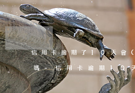信用卡逾期了10天會(huì)影響征信嗎-信用卡逾期10天會(huì)影響征信嗎?