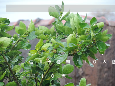 信用卡逾期了10天會降低額嗎-信用卡逾期10天