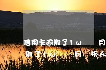 信用卡逾期了1w幾個月來抓人-信用卡逾期了1w幾個月來抓人違法嗎 信用卡逾期了1w幾個月來抓人-信用卡逾期了1w幾個月來抓人違法嗎