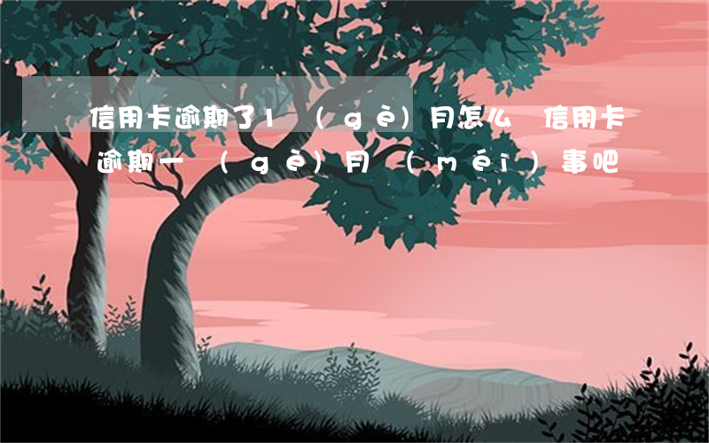 信用卡逾期了1個(gè)月怎么辦(信用卡逾期一個(gè)月沒(méi)事吧)