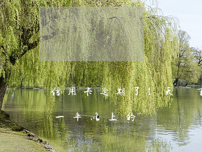 信用卡逾期了1天嚴重嗎(有沒有信用卡逾期一年以上的)
