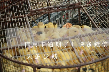 信用卡逾期了1快多錢(信用卡一千塊逾期一天多少錢)