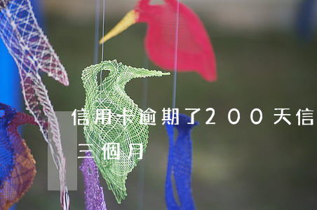 信用卡逾期了200天(信用卡8000逾期三個月)