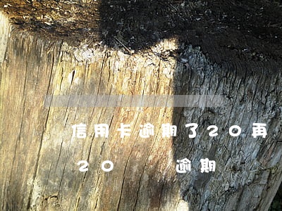 信用卡逾期了20再還會不會降額-信用卡20塊錢逾期