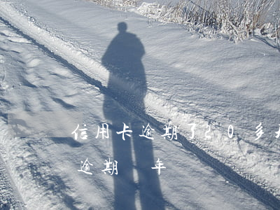 信用卡逾期了20多天怎么辦(信用卡20萬逾期兩年)