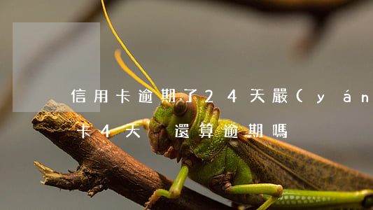 信用卡逾期了24天嚴(yán)重嗎(信用卡4天沒還算逾期嗎)