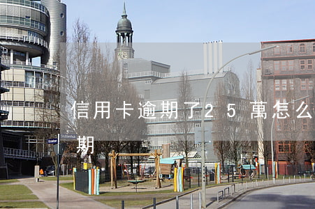 信用卡逾期了25萬怎么辦(信用卡15萬逾期)