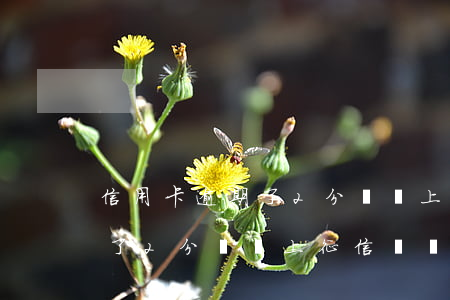 信用卡逾期了2分鐘會上征信嗎(信用卡逾期了2分鐘會上征信嗎嗎)