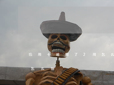 信用卡逾期了2周怎么辦(信用卡逾期了兩天怎么辦)