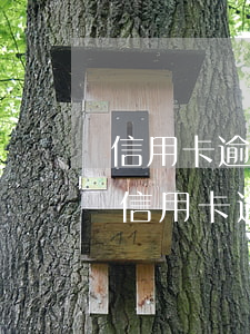 信用卡逾期了2年怎么協(xié)商還款(信用卡逾期2年可以協(xié)商還本金嗎)