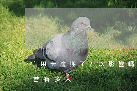信用卡逾期了2次影響嗎(信用卡逾期2期影響有多大?)